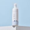 ROUND LAB 1025 Dokdo Bubble Foam cleanser