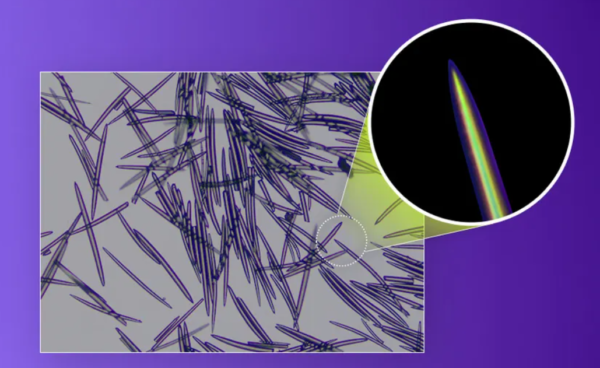 Isntree, Onion Newpair Booster Shot 2000